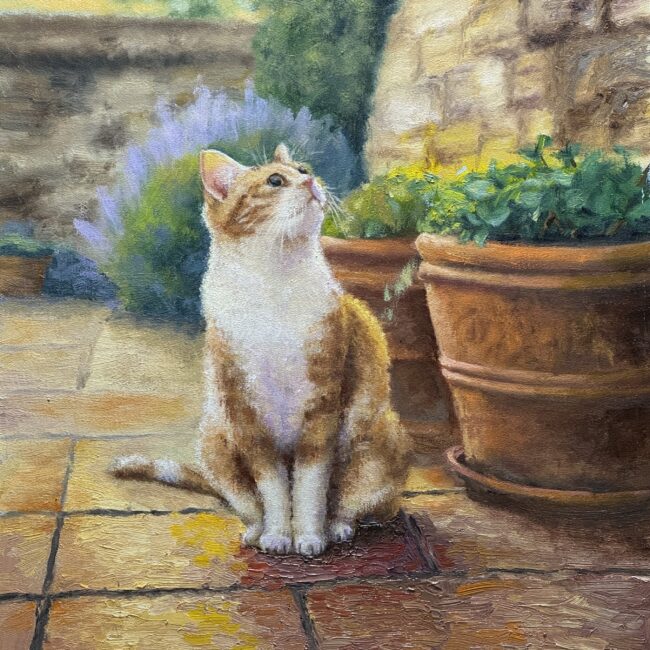 A Moment of Curiosity