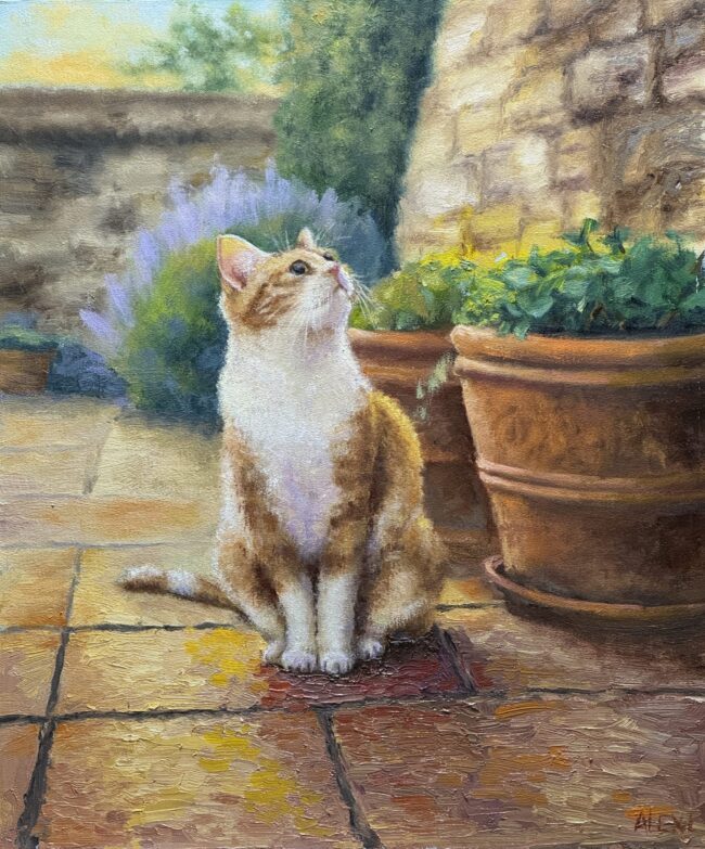 A Moment of Curiosity